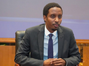 Chad-Niger tensions: uncovering the hidden layers behind unproven strike allegations