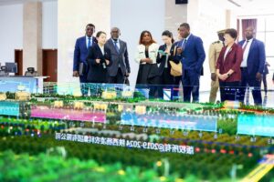 Togo’s bold leap forward: how Shaanxi is shaping a new era in smart farming