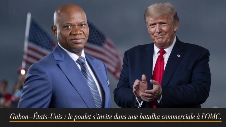 Gabon’s poultry ban sparks pivotal trade showdown at the WTO