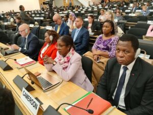 Cameroon’s refugee crisis: Geneva call for urgent global action as funding gap widens