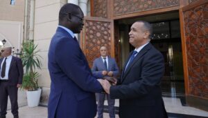 Sonelgaz breaks new ground in Senegal after Mali, Niger and Cameroon